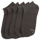Sneakersocken im Angebot bei Penny in Bruchsal Sneakersocken Angebote von Chiemsee bei Penny Bruchsal für 5,00 €