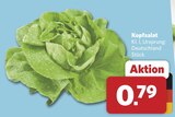 Aktuelles Kopfsalat Angebot bei combi in Oldenburg ab 0,79 €