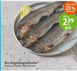 Bio-Regenbogenforelle Angebote bei tegut Wetzlar für 2,99 €