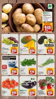 Kartoffeln im nahkauf Prospekt "nichts liegt näher" mit 8 Seiten (Wuppertal)