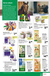 Aktueller BayWa Bau- und Gartenmärkte Prospekt mit Kissen, "Hier bin ich gern", Seite 7