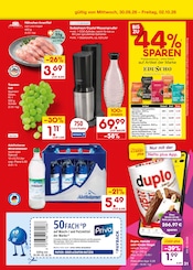 Espresso im Netto Marken-Discount Prospekt in Landshut Aktueller Netto Marken-Discount Prospekt mit Espresso, "Aktuelle Angebote", Seite 49