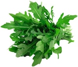 Bio Rucola Angebote von REWE Bio bei REWE Marl für 0,89 €
