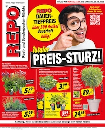 Aktueller Repo Prospekt (Schwülper) Repo Prospekt mit 16 Seiten (Schwülper)