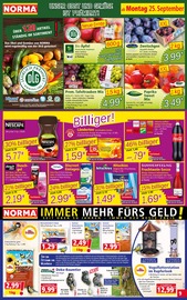 Obst im Norma Prospekt in Augsburg Aktueller Norma Prospekt mit Obst, "Mehr fürs Geld", Seite 9
