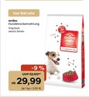 Hundetrockenahrung Angebote von arriba bei Garten-Center Nordharz GmbH & Co. KG Goslar für 29,99 €