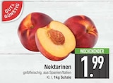 Nektarinen im EDEKA Prospekt Nektarinen von Gut & Günstig im aktuellen EDEKA Prospekt für 1,99 €