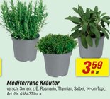 Mediterrane Kräuter bei toom Baumarkt im Ehrenfriedersdorf Prospekt für 3,59 €