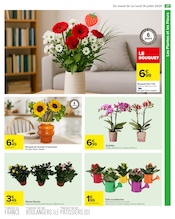 Plantes Angebote im Prospekt "Carrefour" von Carrefour Plantes Angebote im Prospekt "Carrefour" von Carrefour auf Seite 39
