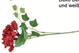 Deko-Blütenzweige Angebote bei Wreesmann Pirna für 1,49 €