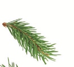 Bella Crema im Angebot bei Lidl in Halle Bella Crema Angebote von Melitta bei Lidl Halle für 13,99 €