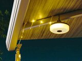 LED-3in1-Lichterkette „Taivo“ im Angebot bei Hagebaumarkt in Dortmund LED-3in1-Lichterkette „Taivo“ Angebote von CASAYA bei Hagebaumarkt Dortmund für 7,99 €