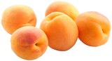 Obst im REWE Prospekt Aprikosen im aktuellen REWE Prospekt für 1,99 €