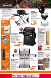 Thermometer Angebot & Preis im aktuellen Selgros Prospekt Thermometer Angebot im aktuellen Selgros Prospekt auf Seite 29