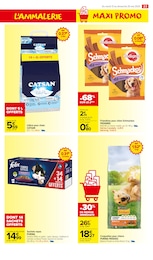 Offre Croquettes Chien dans le catalogue Carrefour Market du moment à la page 25