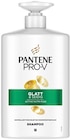 Shampoo von Pantene Pro-V im aktuellen Penny Prospekt für 6,99 €