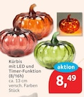 Aktuelles Kürbis mit LED und Timer-Funktion (8/16h) Angebot bei budni in Berlin ab 8,49 €