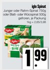 Junger oder Rahm-Spinat oder Blatt- oder Würzspinat bei E xpress im Berg Prospekt für 1,99 €