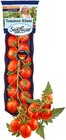 Aktuelle Tomaten Angebote bei REWE in Heidelberg Aktuelles Tomaten-Küsse Angebot bei REWE in Heidelberg ab 1,99 €