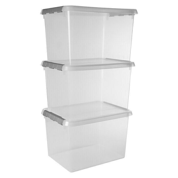 BAUHAUS Dümmer - Sunware Aufbewahrungsbox-Set Comfort Line (L x B x H: 40 x 30 x 26 cm, Kunststoff, Transparent, 3 Stk.) Sunware Aufbewahrungsbox-Set Comfort Line (L x B x H: 40 x 30 x 26 cm, Kunststoff, Transparent, 3 Stk.) Angebot bei BAUHAUS Dümmer im Prospekt Bringen Sie Ordnung in Werkstatt, Haus & Garten