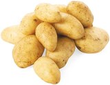 Speisekartoffeln für 1,79 € bei REWE im Angebot Speisekartoffeln im aktuellen REWE Prospekt