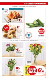 Chrysanthèmes Angebote im Prospekt "Super U" von Super U auf Seite 35