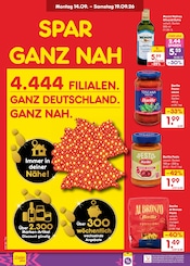 Barilla im Netto Marken-Discount Prospekt in Pirna Aktueller Netto Marken-Discount Prospekt mit Barilla, "Aktuelle Angebote", Seite 37