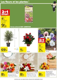 Offre Terreau dans le catalogue Carrefour du moment à la page 66