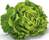 Aktuelles Kopfsalat Angebot bei Netto Marken-Discount in Hannover ab 1,00 €