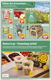Gartendeko im REWE Prospekt in Buxtehude Aktueller REWE Prospekt mit Gartendeko, "Dein Markt", Seite 29