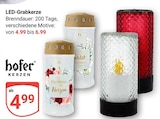 LED-Grabkerze im Angebot bei GLOBUS in Erlangen LED-Grabkerze Angebote von hofer Kerzen bei GLOBUS Erlangen für 4,99 €