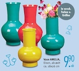 Aktuelles Vase AMELIA Angebot bei Trends in Oberhausen ab 9,90 €