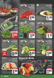 Thunfisch im EDEKA Prospekt in Frechen Aktueller EDEKA Prospekt mit Thunfisch, "Aktuelle Angebote", Seite 6