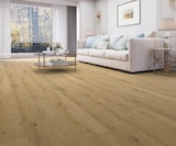 Scheibenfrostschutz Angebote von aroso bei Globus-Baumarkt Ratingen für 3,99 €