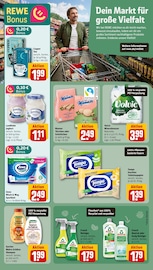 Frosch im REWE Prospekt in Düsseldorf Aktueller REWE Prospekt mit Frosch, "Dein Markt", Seite 15