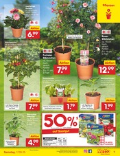 Blumen im Netto Marken-Discount Prospekt in Ansbach Aktueller Netto Marken-Discount Prospekt mit Blumen, "Aktuelle Angebote", Seite 9