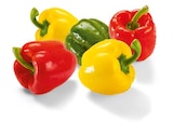 Paprika-Mix im Angebot bei Netto Marken-Discount in Ingolstadt Paprika-Mix Angebote bei Netto Marken-Discount Ingolstadt für 1,89 €
