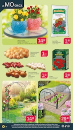 Gewächshaus Angebot im aktuellen Netto mit dem Scottie Prospekt auf Seite 20