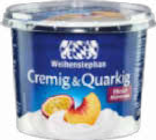 Aktuelles Cremig & Quarkig Angebot bei Netto Marken-Discount in Mannheim ab 1,69 €