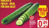 Salatgurken von GUT&GÜNSTIG im aktuellen EDEKA Prospekt
