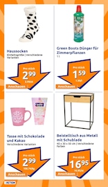 Aktueller Action Prospekt mit Zimmerpflanzen, "kleine Preise, grosse Freude!", Seite 27