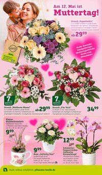 Aktueller Pflanzen Kölle Prospekt "Doppelte Liebe, doppeltes Fest!" Seite 2 von 16 Seiten