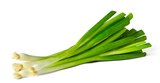 Penny Allstedt - Deutsche Lauchzwiebeln Angebot im Prospekt Deutsche Lauchzwiebeln bei Penny im Allstedt Prospekt für 0,55 €