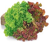Wurzelsalat Salattrio im Angebot bei REWE in Fürth Wurzelsalat Salattrio Angebote bei REWE Fürth für 0,99 €