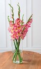 Bouquet de 5 glaïeuls en promo chez U Express Bordeaux à 4,99 €