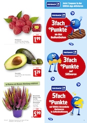Aktueller EDEKA Prospekt mit Mixer, "Aktuelle Angebote", Seite 5
