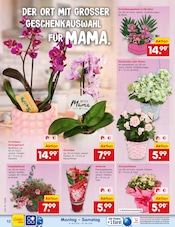 Aktueller Netto Marken-Discount Prospekt mit Blumen, "Aktuelle Angebote", Seite 14
