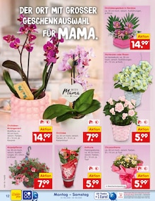 Hortensie im Netto Marken-Discount Prospekt "Aktuelle Angebote" mit 75 Seiten (Hagen (Stadt der FernUniversität))