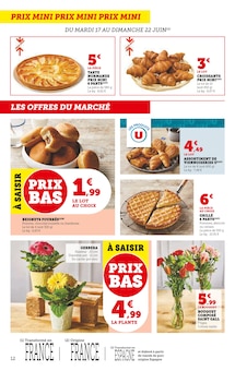 Promotion Plante Verte dans le prospectus Super U, valable du 17/06/2025 au 29/06/2025 Promo Plante Verte dans le catalogue Super U du moment à la page 12