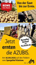 Aktueller REWE Discounter Prospekt in Werder und Umgebung, "Dein Markt" mit 34 Seiten, 15.09.2025 - 20.09.2025